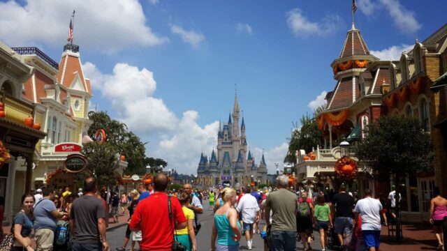 What Can You Bring Into Disneyland 