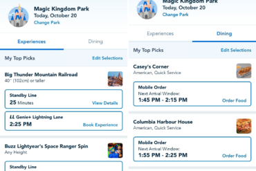 Top 13 Must-Have Apps for Disney World 1 Genie screen application