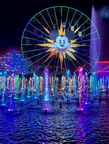 Disneyland Dining Packages & Dessert Party Tips & FAQ's 186 Water fountains and ferris wheel at night