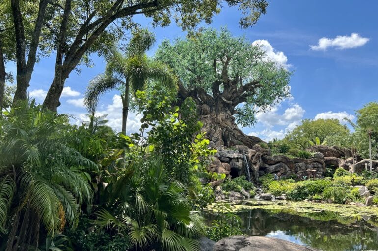 Blue-rific Guide to Disney+ Day 2023 at Disney World & Disneyland 24 Tree of Life at theme park in afternoon