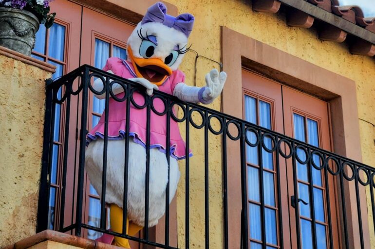 Where to Find Walt Disney World Characters – Hollywood Studios Edition 101 Daisy Duck at Disney's Hollywood Studios