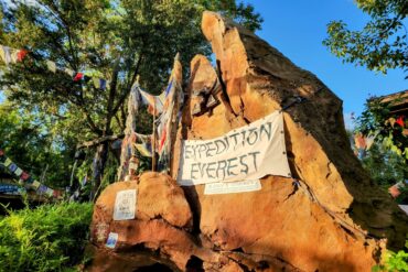 8 Best Rides at Animal Kingdom 246 Expedition Everest in Asia at Disney's Animal Kingdom Theme Park