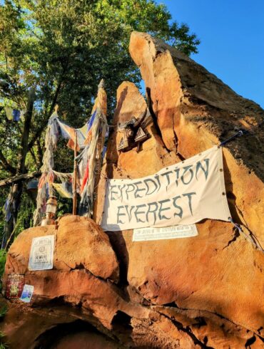 8 Best Rides at Animal Kingdom 145 Expedition Everest in Asia at Disney's Animal Kingdom Theme Park