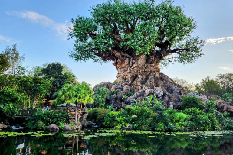 1-Day Animal Kingdom Plan 142 Tree of Life at Disney's Animal Kingdom Theme Park