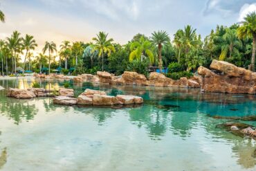 Ultimate Guide to Orlando's Discovery Cove 17 Discovery Cove