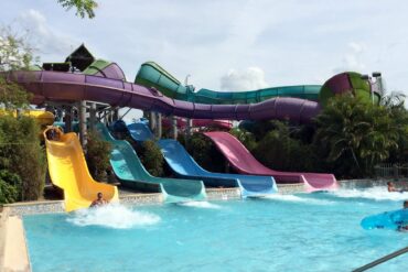 Complete Aquatica Height Requirements Guide 1 Whanau Way at Aquatica Orlando