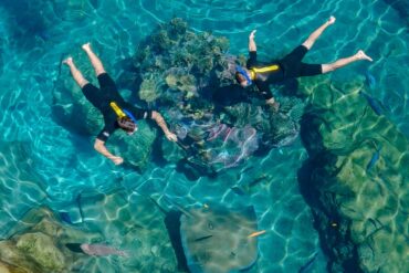 Top 14 Things to Do at Discovery Cove Orlando 79 Snorkeling at The Grand Reef at Discovery Cove