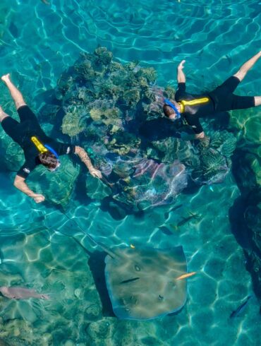 Top 14 Things to Do at Discovery Cove Orlando 32 Snorkeling at The Grand Reef at Discovery Cove
