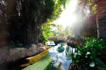 Make a Splash With These Discovery Cove Tips & Tricks 108 Wind-Away River at Discovery Cove