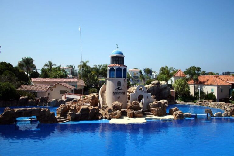 11 Fin-tastic Things to Do at SeaWorld San Diego 6 Seaworld San Diego