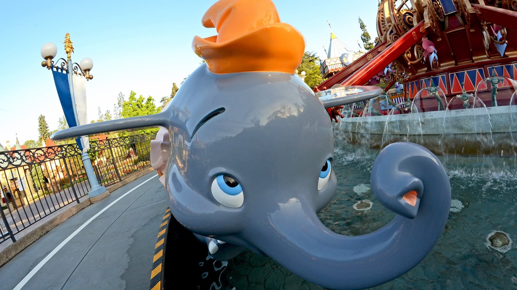 Closeup of dumbo