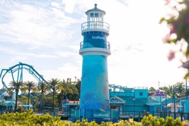 SeaWorld Disability Pass & Ride Accessibility Program Guide 38 SeaWorld Orlando