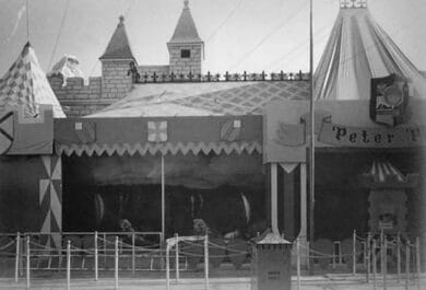 Peter Pan's Flight Review - Park Savers