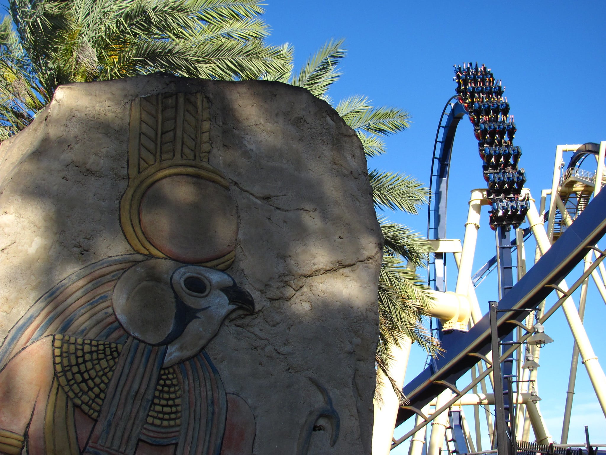 All About Busch Gardens Tampa Bay Height Requirements Park Savers all-about-busch-gardens-tampa-bay-height-requirements-park-savers