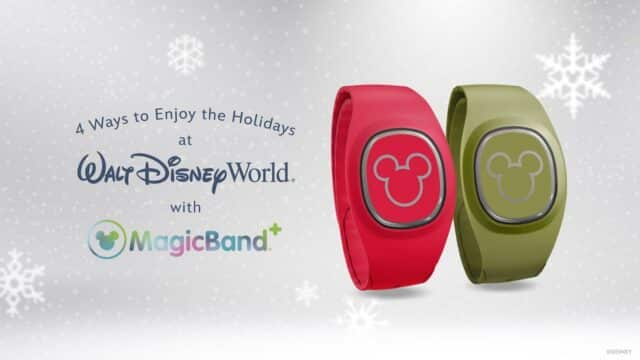 Disney World MagicBands
